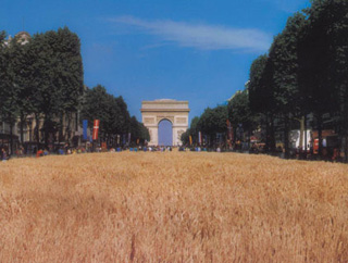 Grand champ de blé sur les Champs Elysées à Paris