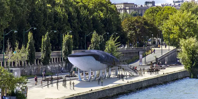 Baleine géante sur les quais de seine pour la COP 21